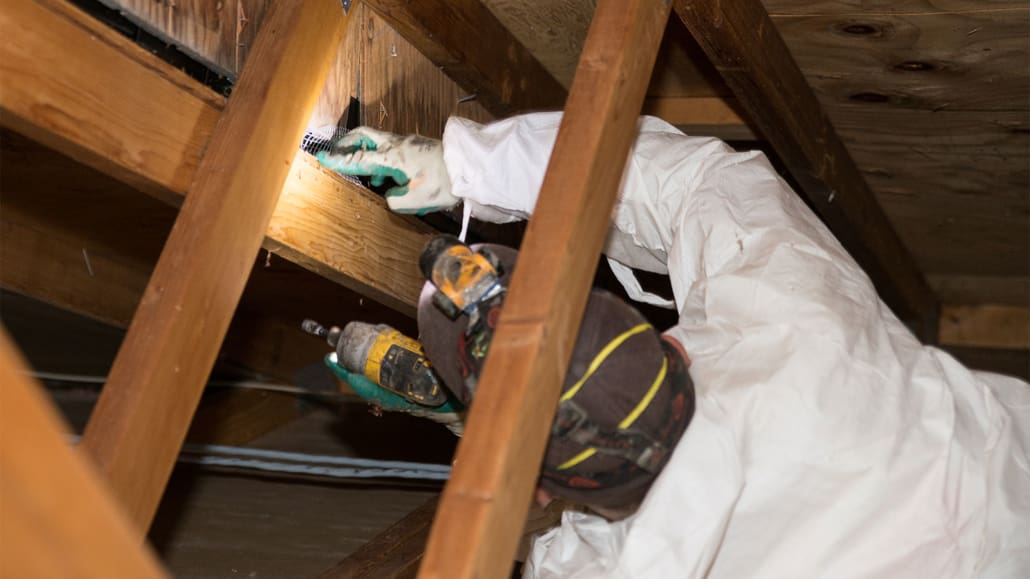 blocking rodent access to crawl space