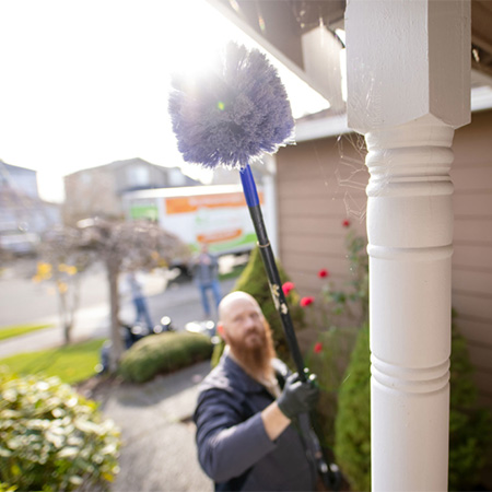 Pest Removal Services | Pest Pros