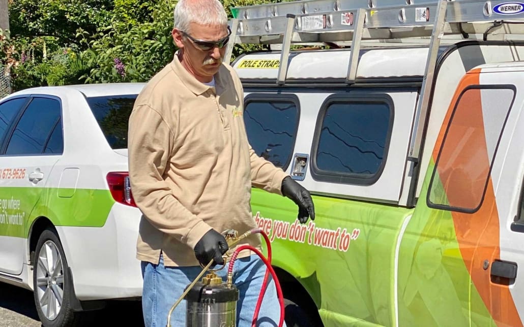 Pest Control and Extermination Company Pest Pros