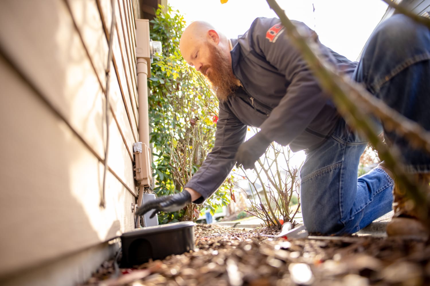 Is Professional Pest Control Worth It? The Importance Of Working With A Pest Control Company