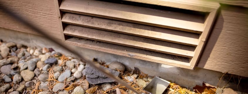 a vent cover on a home near the ground, a potential entry point for rats