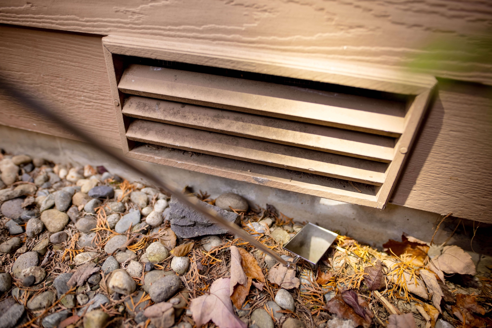 a vent cover on a home near the ground, a potential entry point for rats